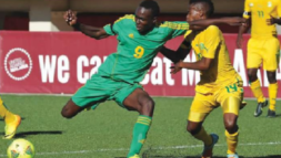 Soi kèo Zimbabwe vs Nam Phi, 20h00 ngày 3/9/2021