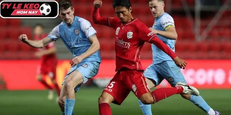 Thông tin lực lượng Adelaide United vs Melbourne City mới nhất