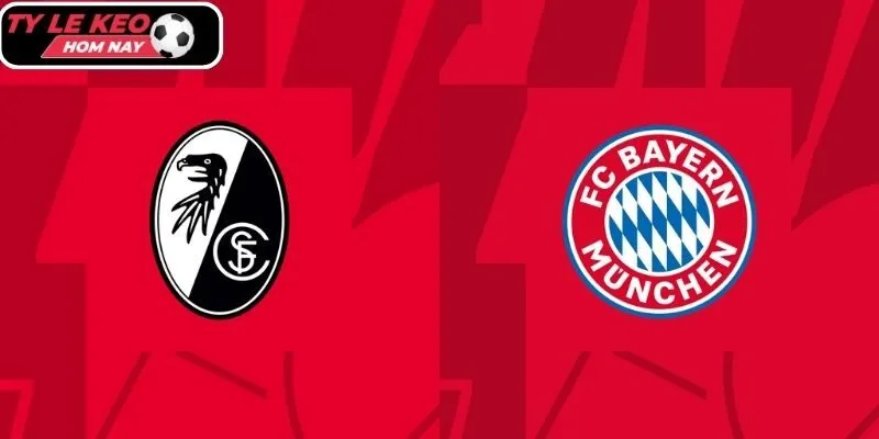 Tylekeohomnay dự đoán tỷ số trận Bayern Munich vs Freiburg