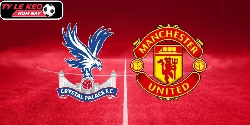 Tylekeohomnay dự đoán tỷ số trận Crystal Palace vs Manchester United