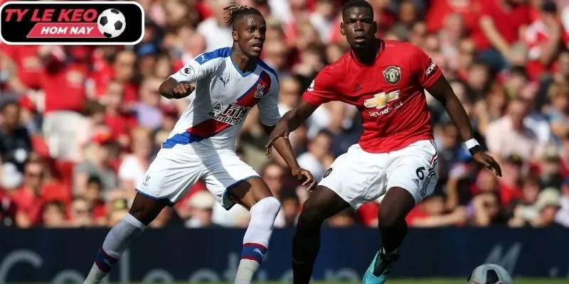 Thông tin lực lượng của Crystal Palace vs Manchester United mới nhất