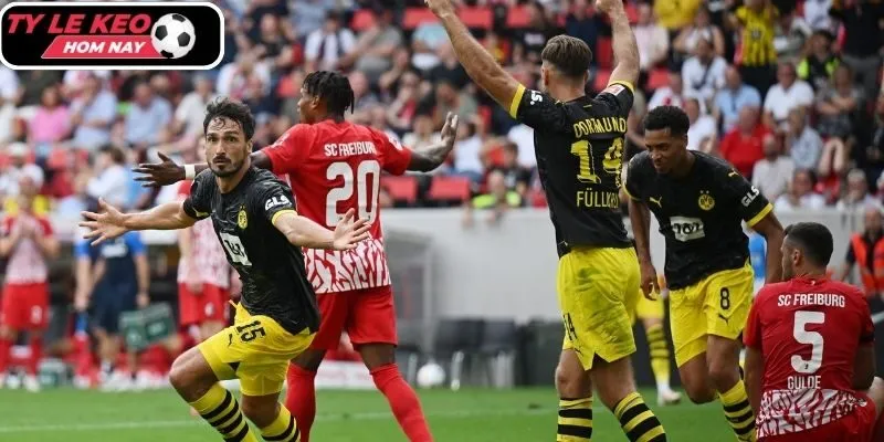 Thông tin lực lượng Freiburg vs Borussia Dortmund (21:30 14/12, VĐQG Đức)