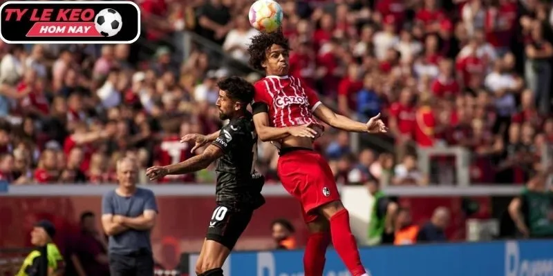 Thông tin lực lượng Freiburg vs Hamburger SV (21:30 10/01, VĐQG Đức)