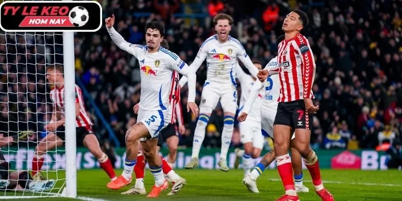 Thông tin lực lượng Sunderland vs Leeds United (21:00 28/12, Ngoại hạng Anh)