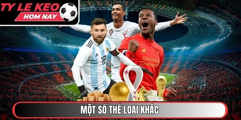 Một số thể loại khác